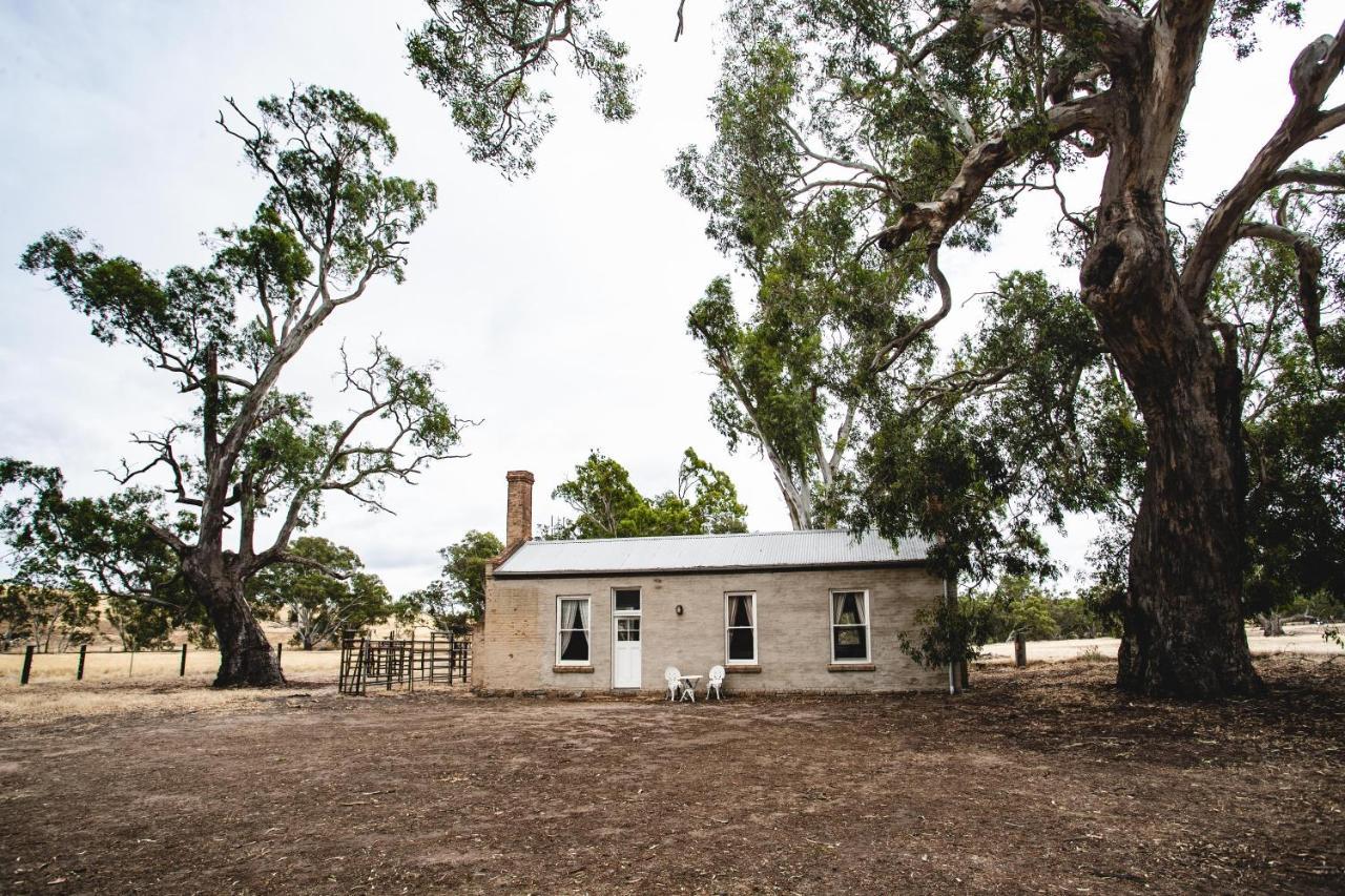 Ravenswood Homestead Eksteriør billede